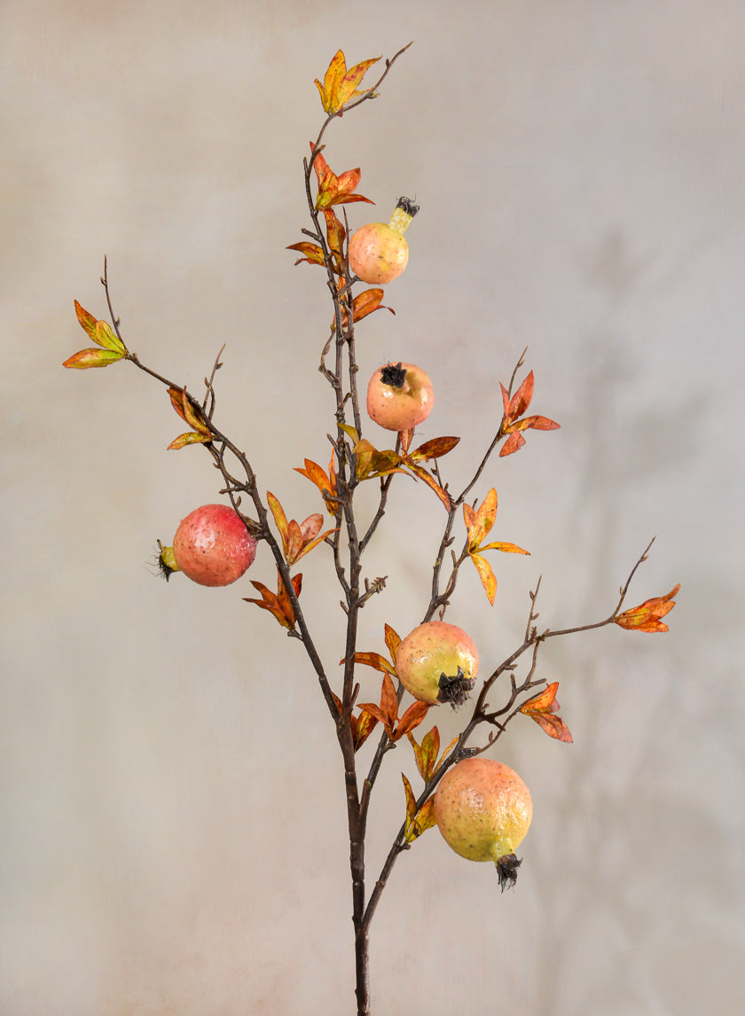 38in Long Early Fall Young Pomegranate Branch Decor Jamaligarden