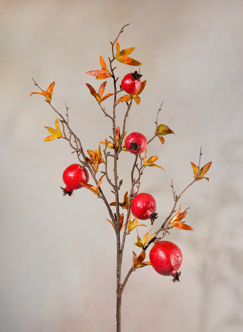 38in Long Late Fall Young Pomegranate Branch Decor Jamaligarden
