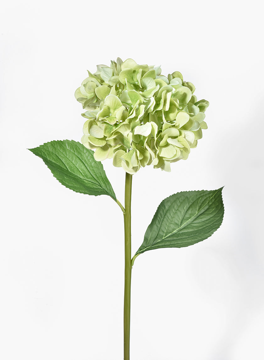 27in Long Antique Green Hydrangea Decor Jamaligarden