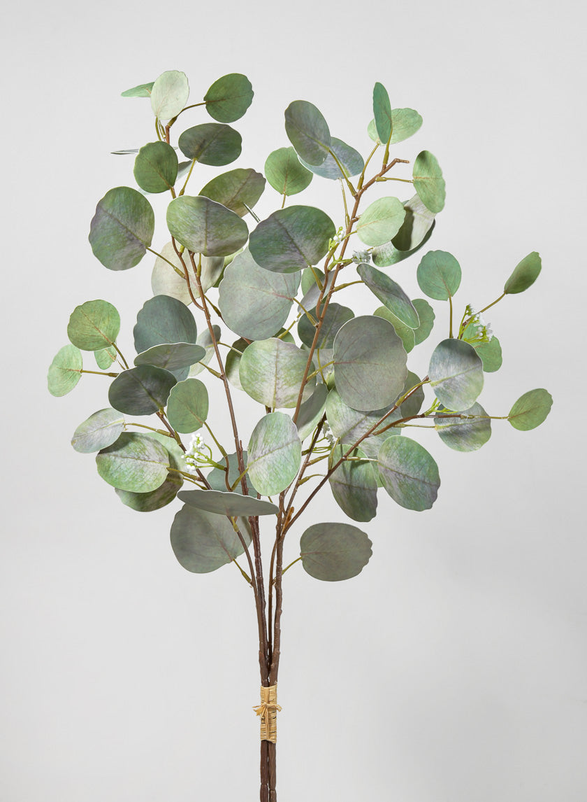 32in Long Silver Dollar Eucalyptus Pick Decor Jamaligarden