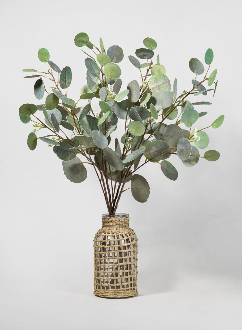 32in Long Silver Dollar Eucalyptus Pick Decor Jamaligarden
