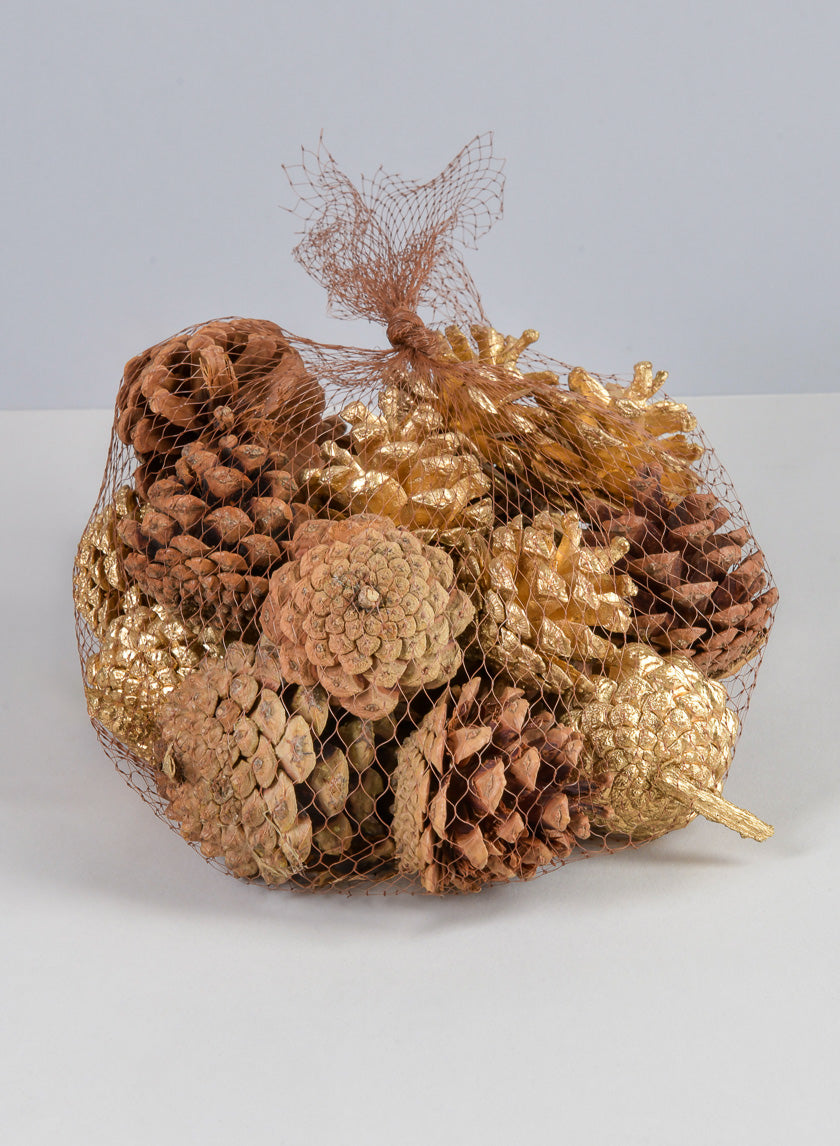 2in Long Bag of Assorted 18 Pinecones Decor Jamaligarden