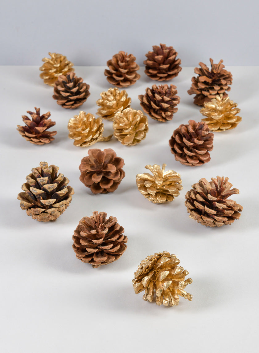 2in Long Bag of Assorted 18 Pinecones Decor Jamaligarden