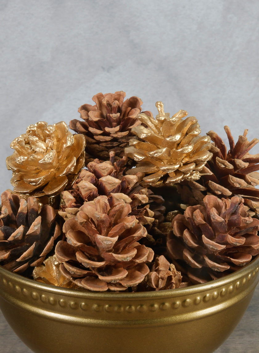 2in Long Bag of Assorted 18 Pinecones Decor Jamaligarden