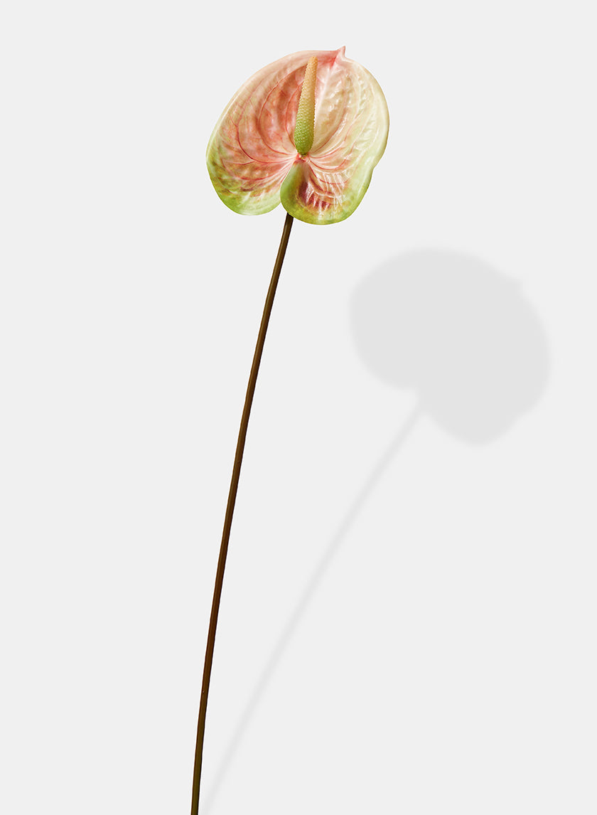 22in Long Peach &amp; Green Anthurium Spray Decor Jamaligarden
