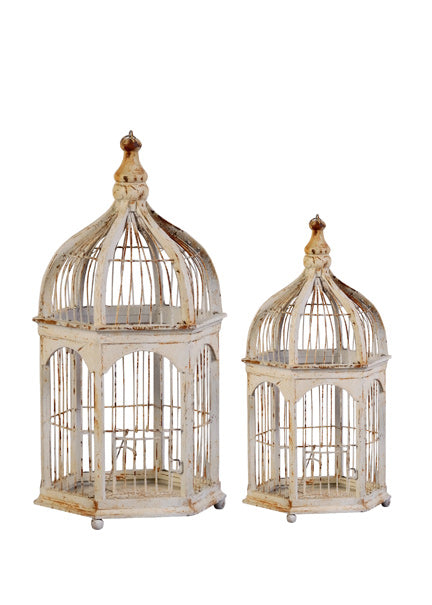 Antiqued Cream Decorative Birdcages Decor Jamaligarden