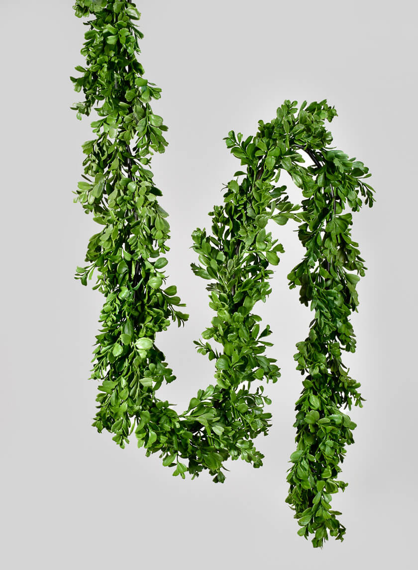 6ft Long Boxwood Garland Decor Jamaligarden