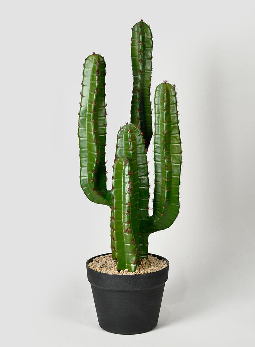 26in Tall Candelabra Cactus Plant Decor Jamaligarden