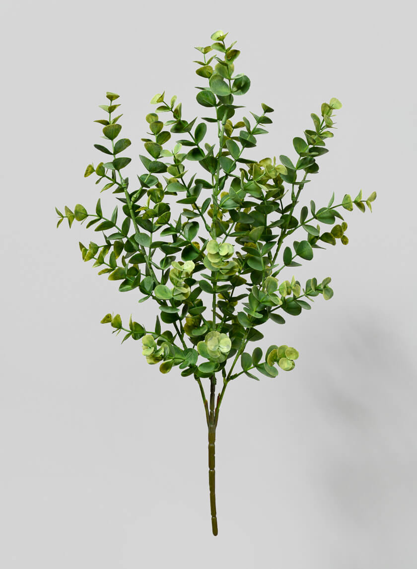 19in Long Eucalyptus Spray Decor Jamaligarden