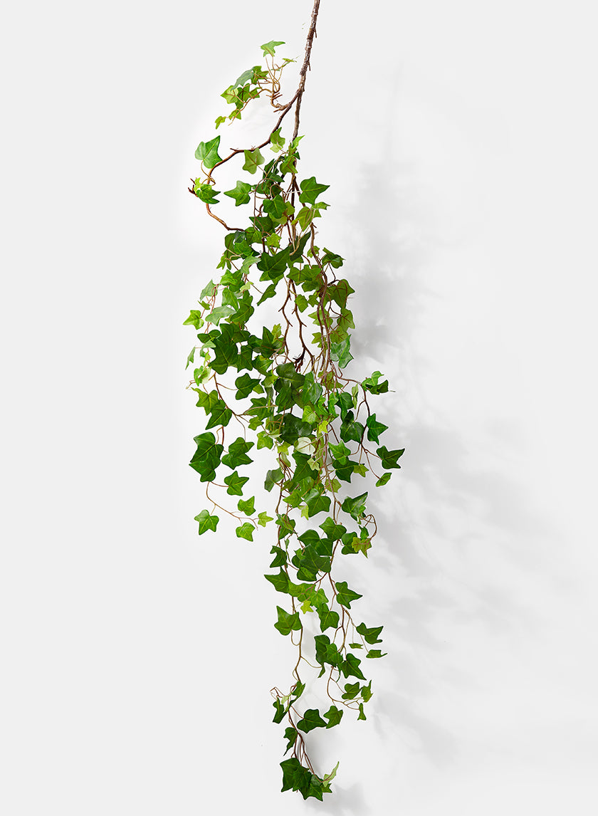 5ft Long Green Ivy Vine Decor Jamaligarden