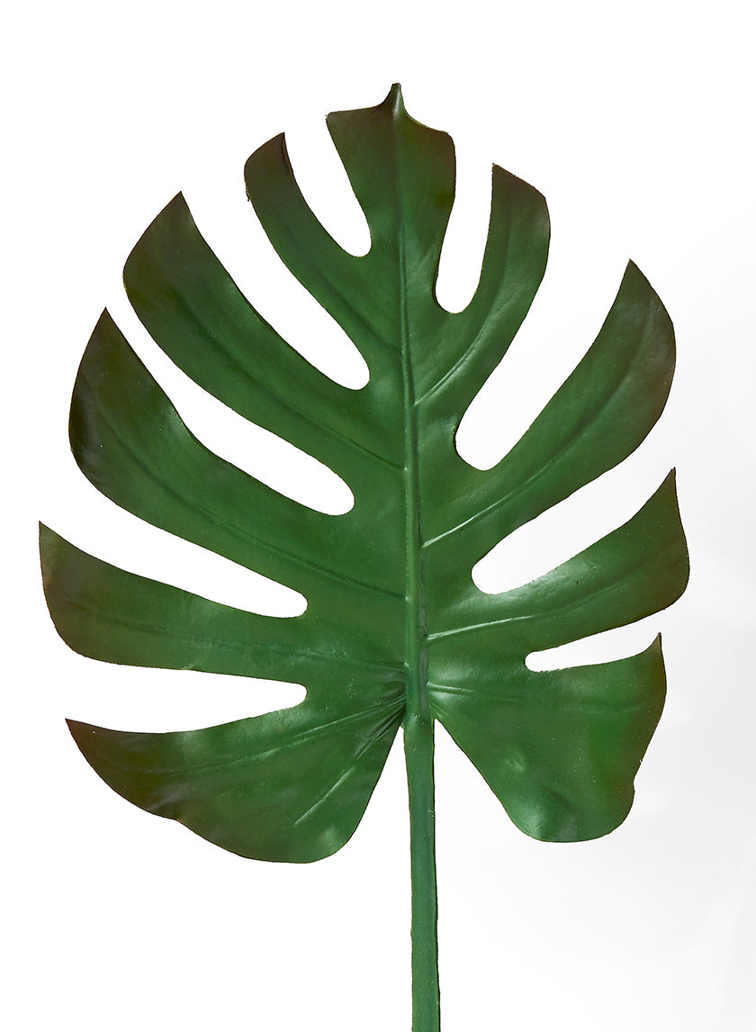 29in Long Turtle Leaf Spray Decor Jamaligarden