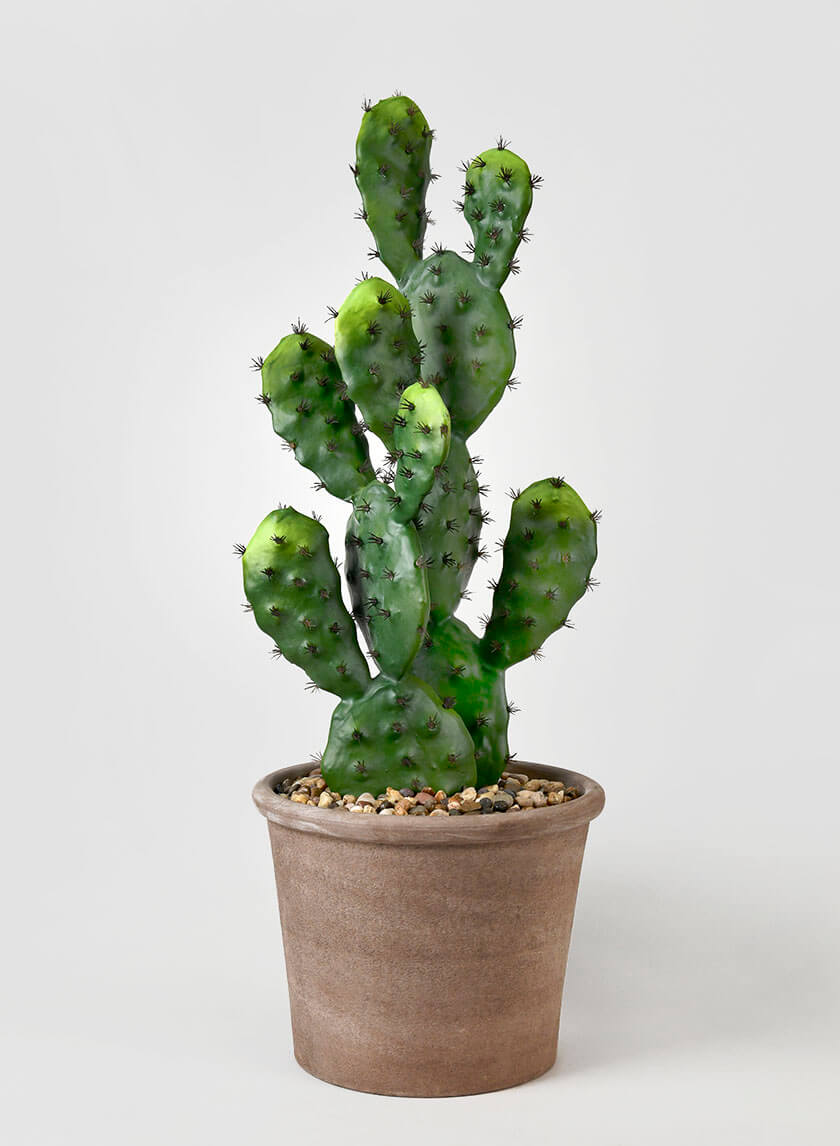 27in Long Prickly Pear Cactus Decor Jamaligarden