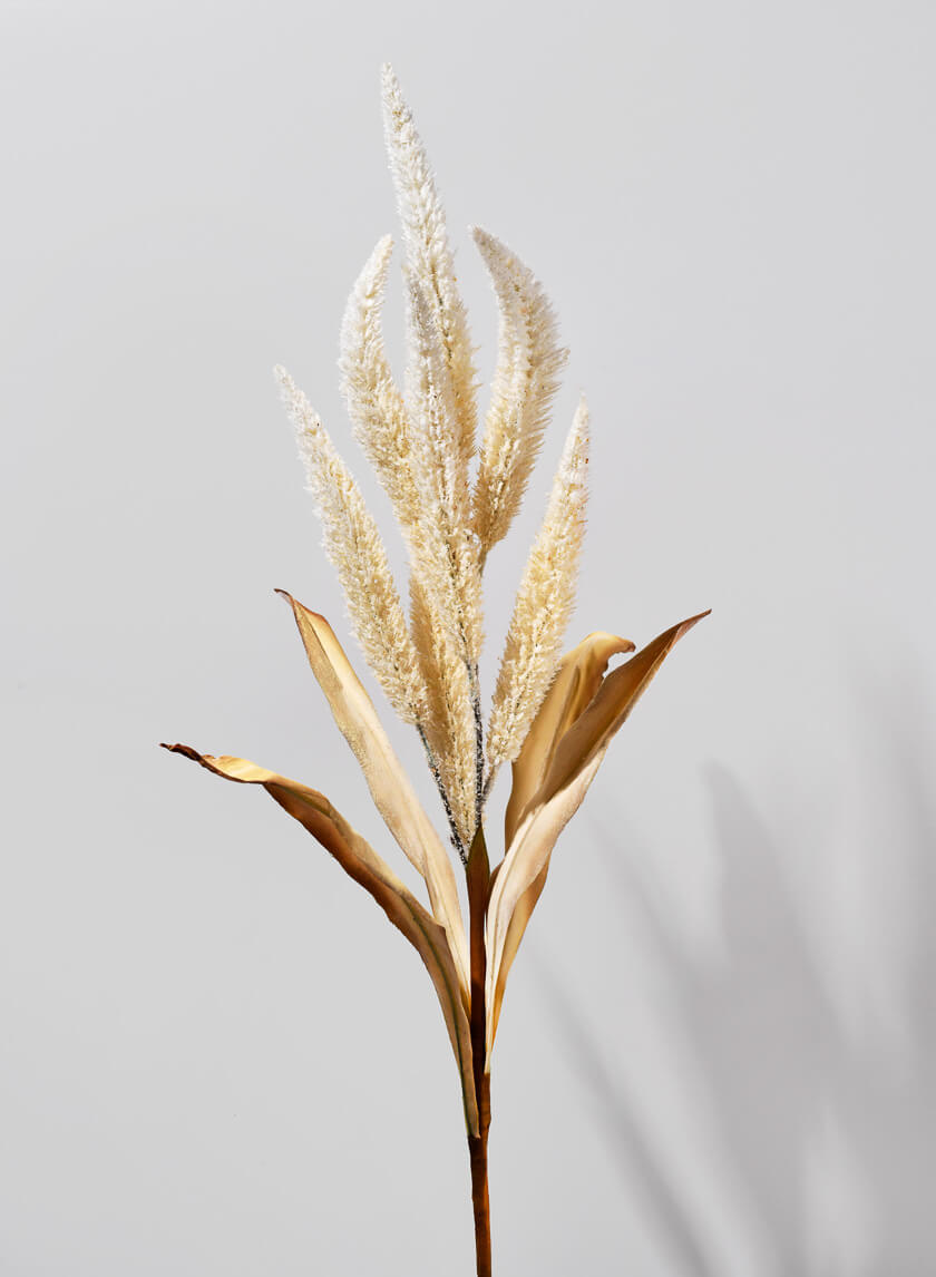35in Long Beige Amaranth Reed Decor Jamaligarden