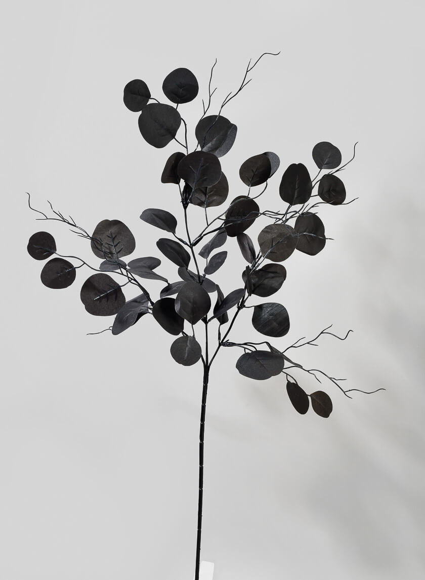 30in Long Black Eucalyptus Pick Decor Jamaligarden