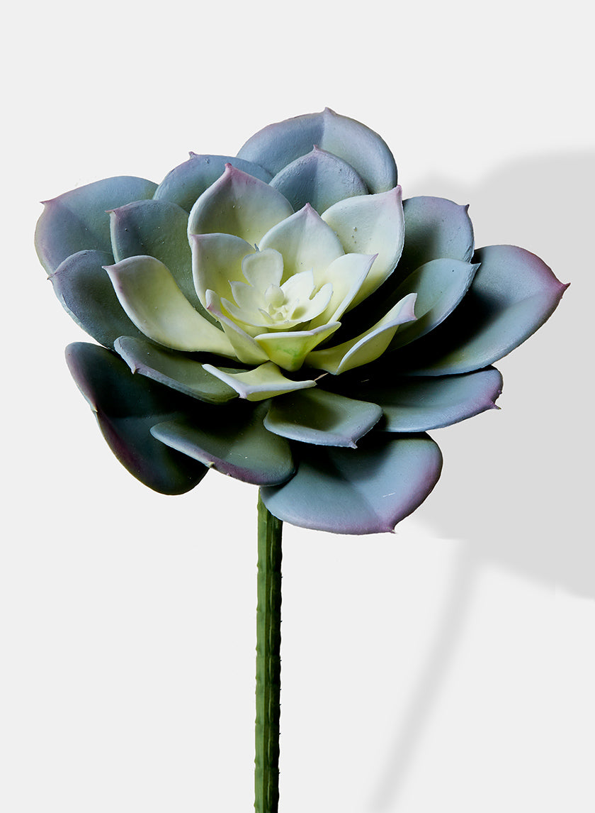 4in Long Blue Artificial Echeveria Pick Decor Jamaligarden