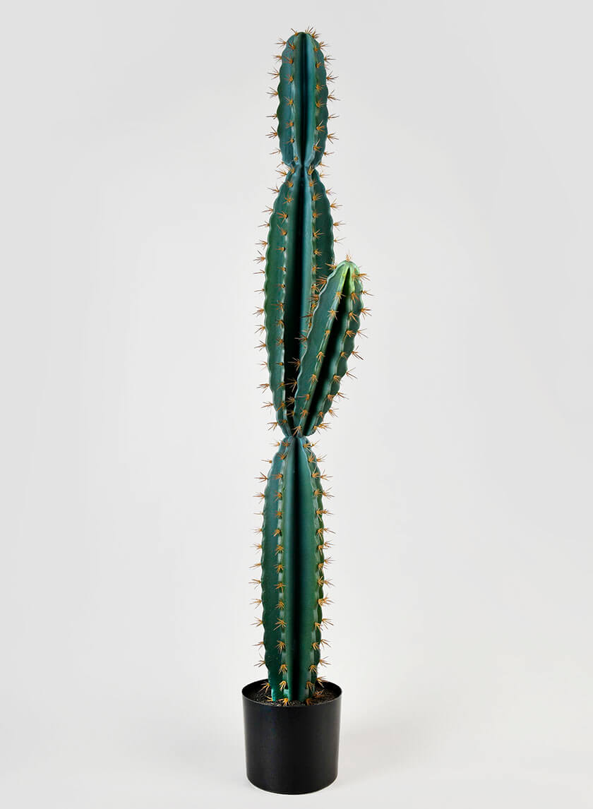 51in Tall Blue Torch Cactus Decor Jamaligarden