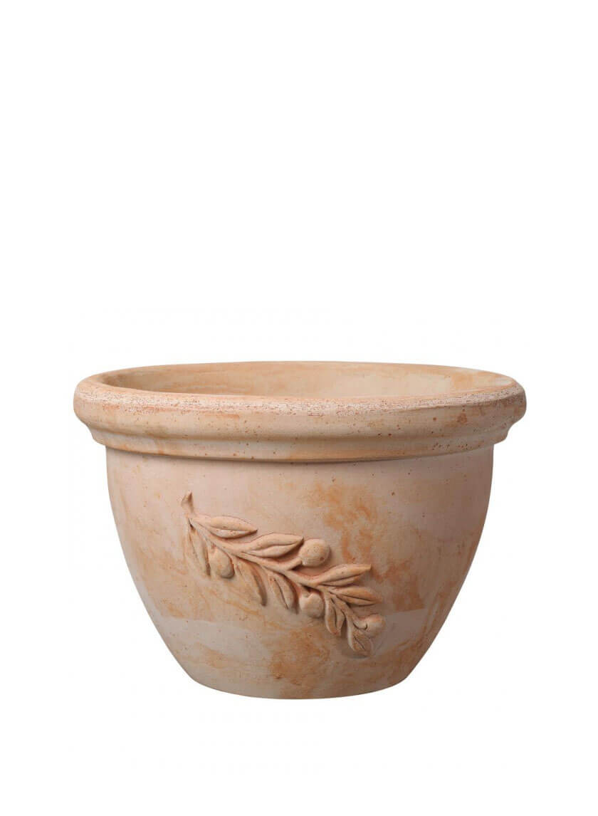 Ciotola Olive Bell Pot Decor Jamaligarden 11.5in EACH
