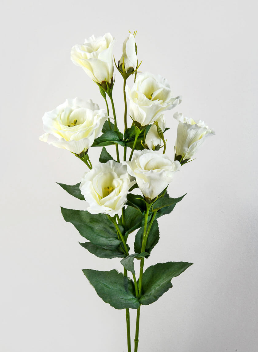 21in Long Cream Lisianthus Spray Decor Jamaligarden