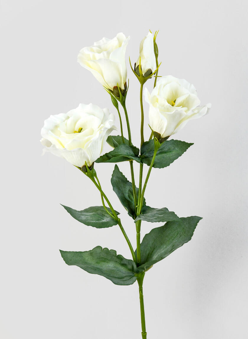 21in Long Cream Lisianthus Spray Decor Jamaligarden