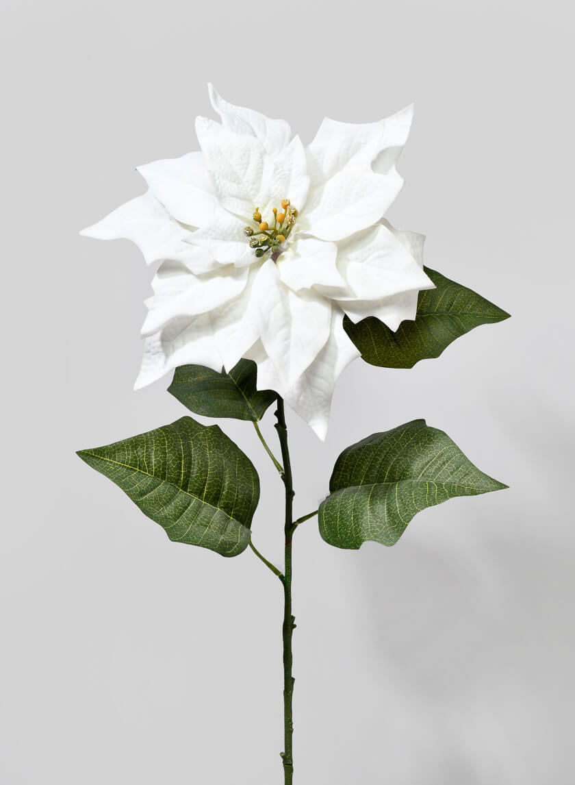 32in Long Cream Poinsettia Stem Decor Jamaligarden
