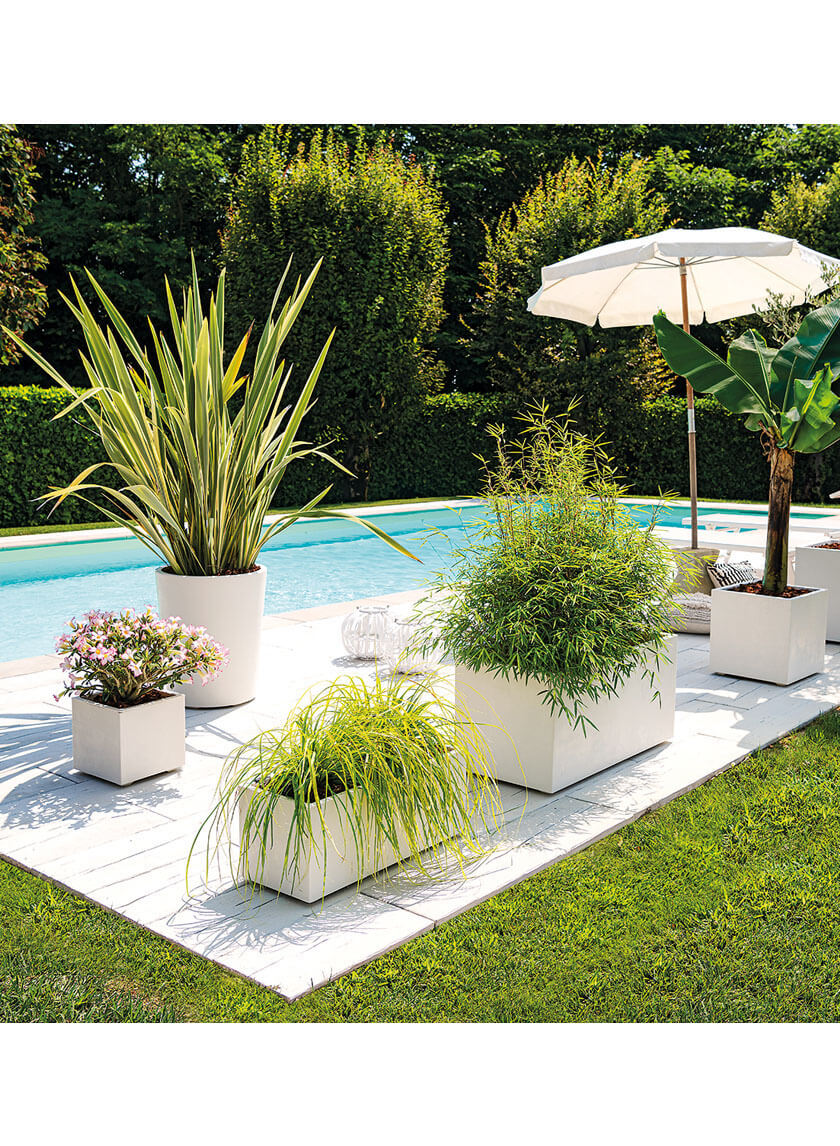 Millennium Pearl Flower Box Decor Jamaligarden