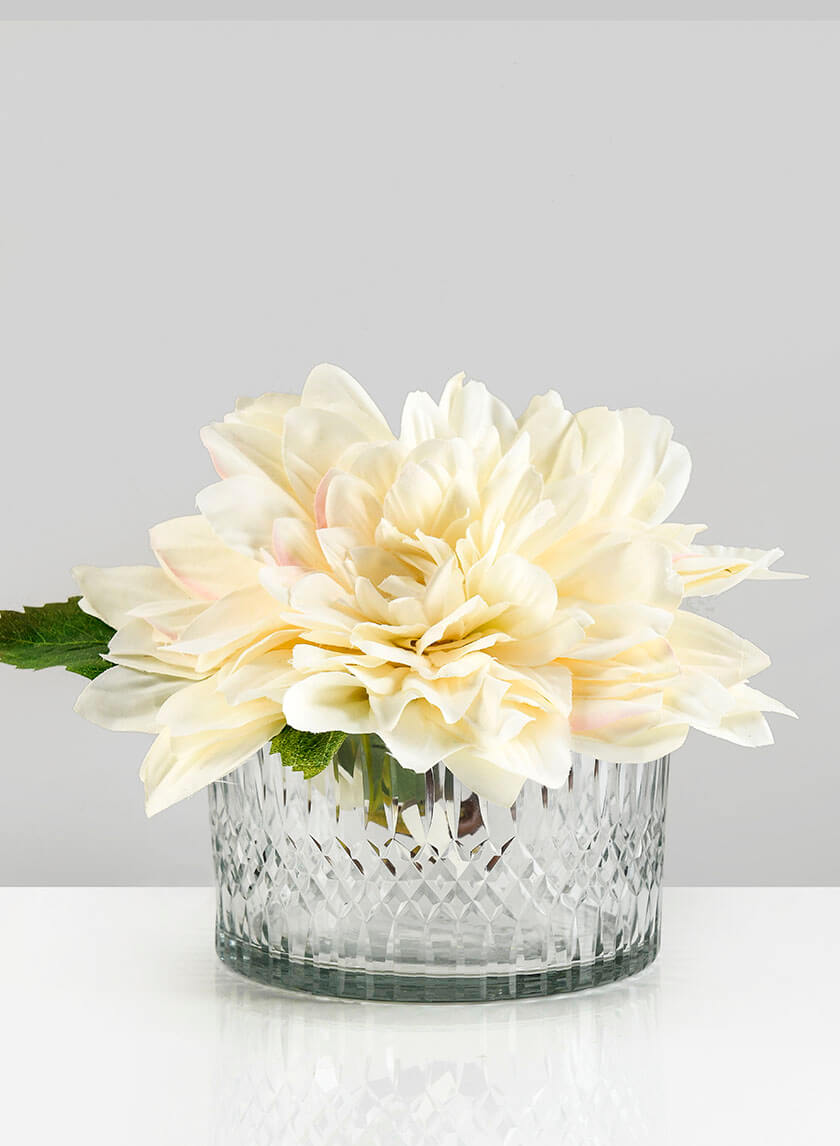 5.5in Wide Limoge Etched Low Glass Cylinder Decor Jamaligarden