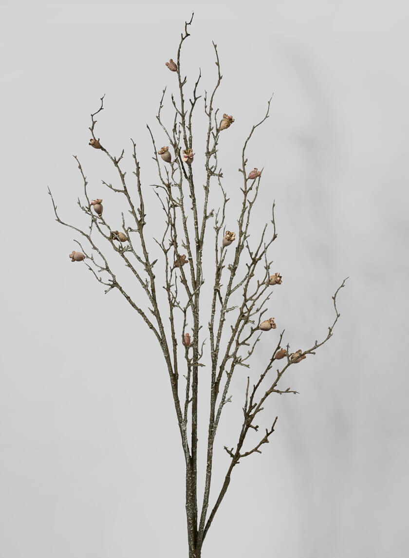 57in Long Dried Branch with Pods Decor Jamaligarden