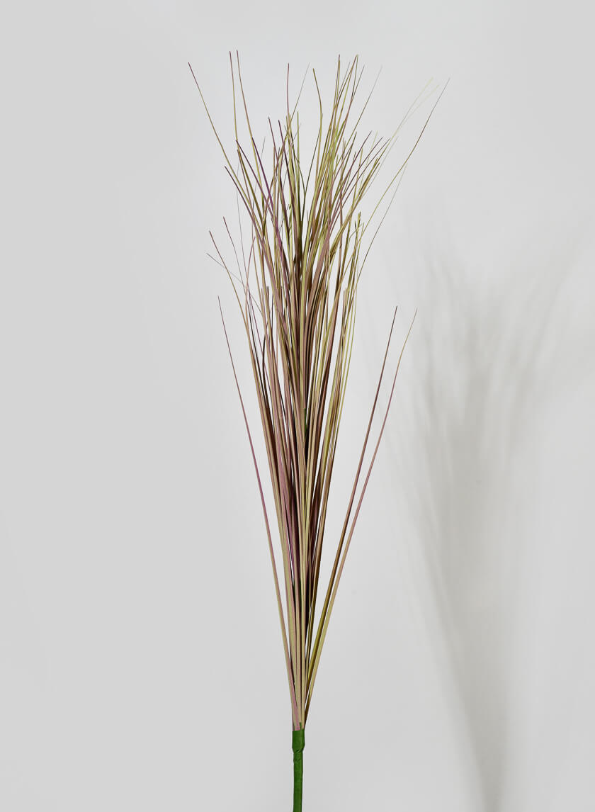 30in Long Dry Onion Grass Pick Decor Jamaligarden