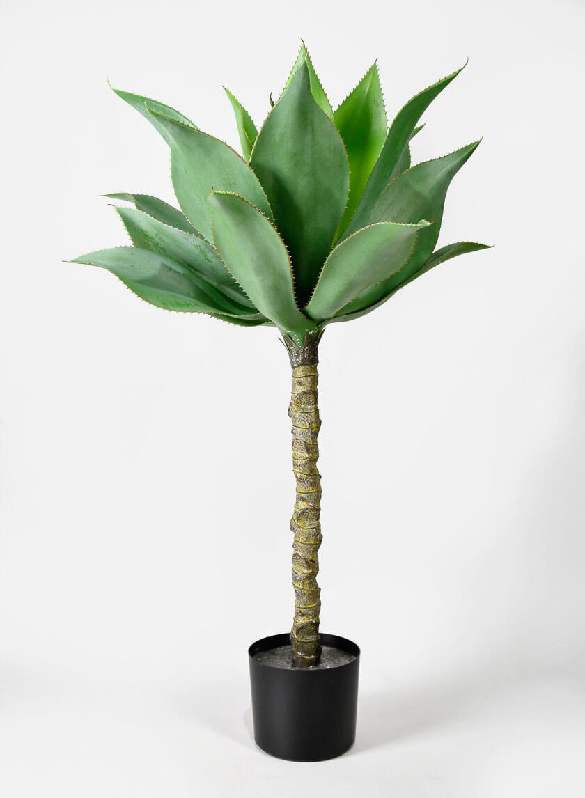 35in Tall Agave Tree Decor Jamaligarden