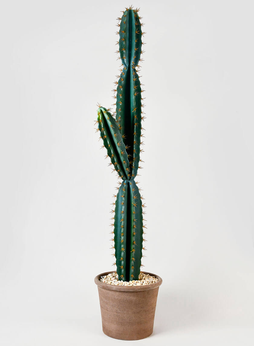 51in Tall Blue Torch Cactus Decor Jamaligarden