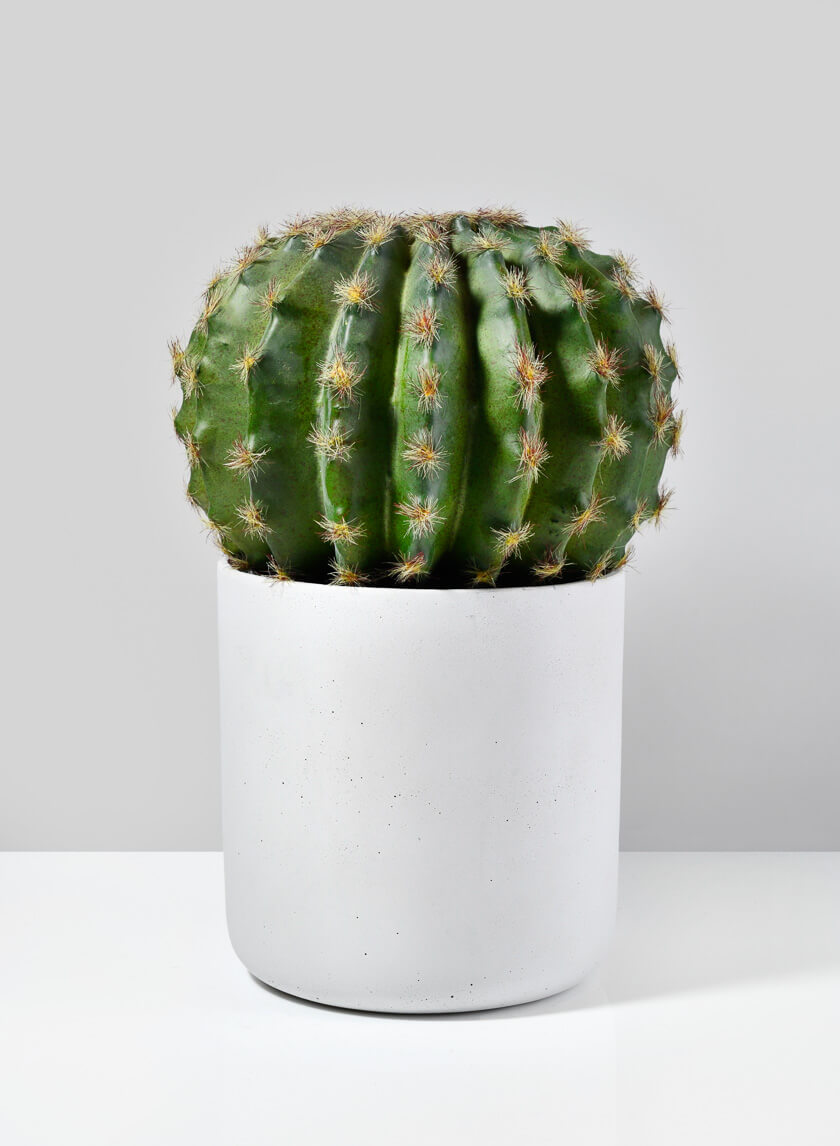White Cycl Sandstone Pots Decor Jamaligarden White 5in EACH