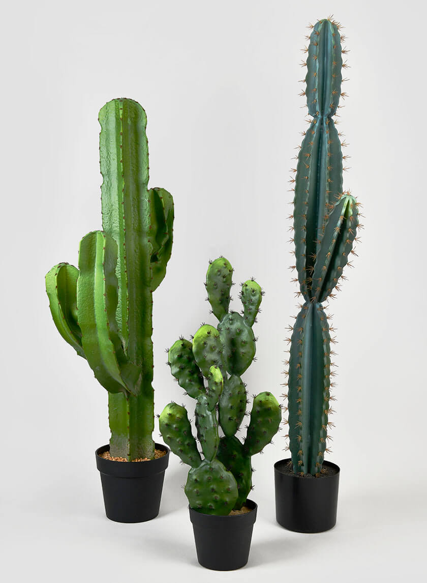 51in Tall Blue Torch Cactus Decor Jamaligarden