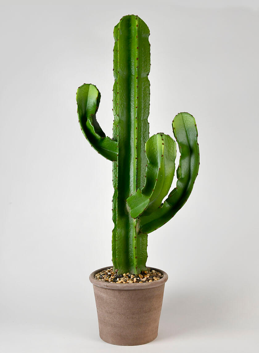 44in Tall Candelabra Cactus Decor Jamaligarden