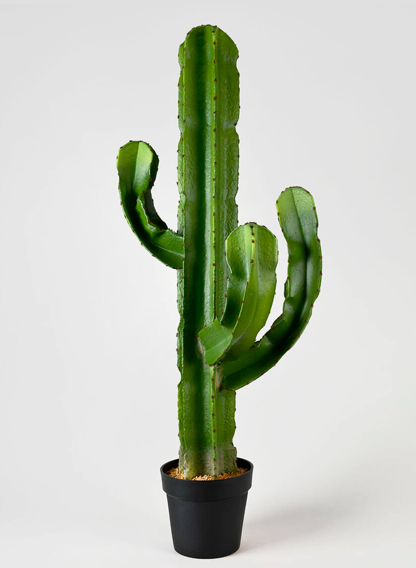 44in Tall Candelabra Cactus Decor Jamaligarden