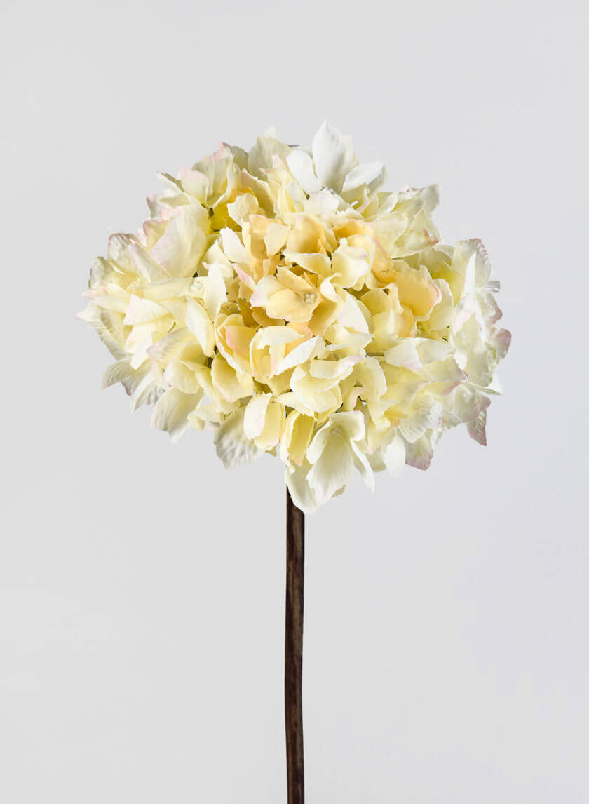 20in Long Cream Single Hydrangea Spray Decor Jamaligarden