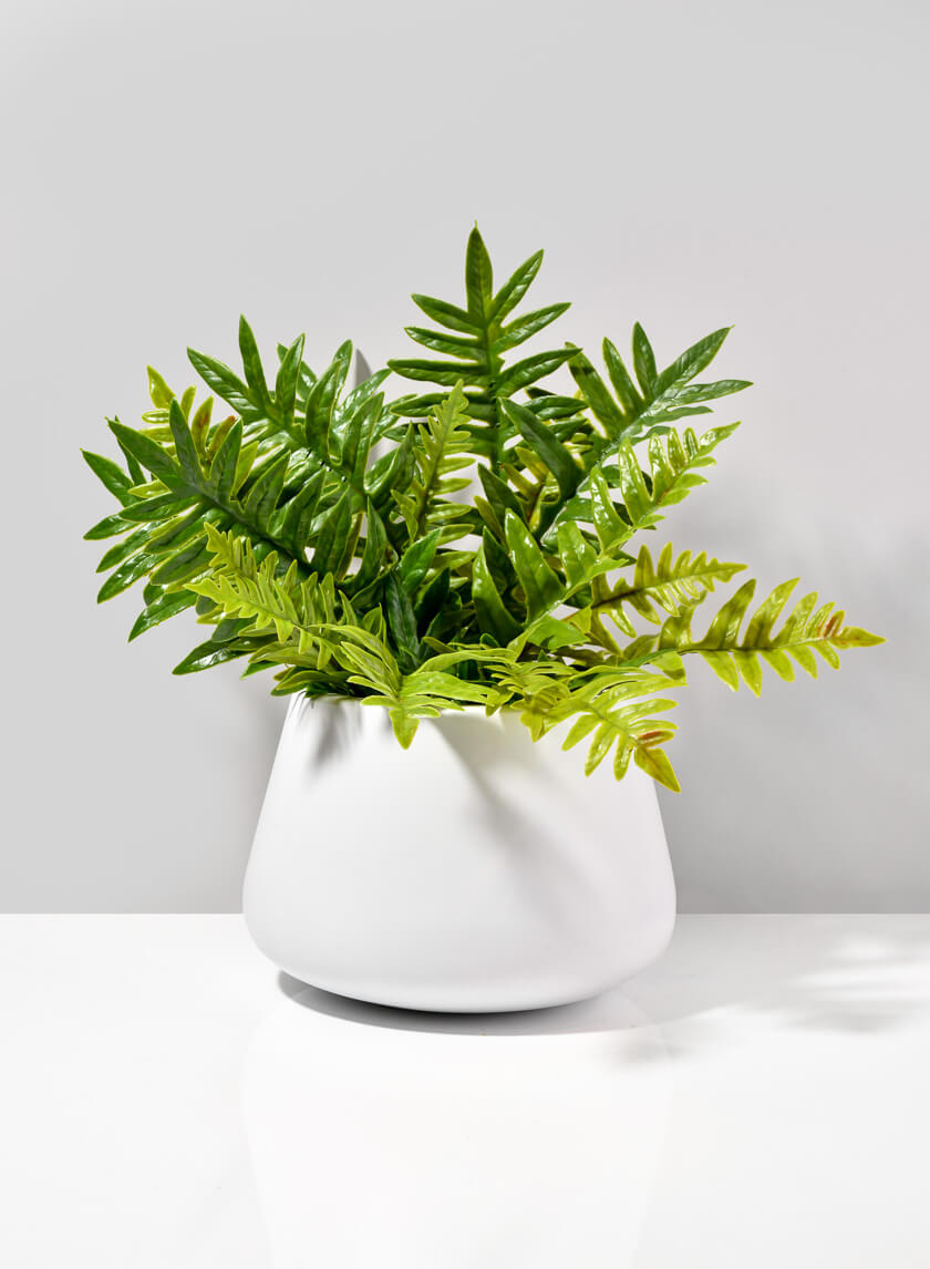 Pyxis White Fiber Stone Pot Decor Jamaligarden
