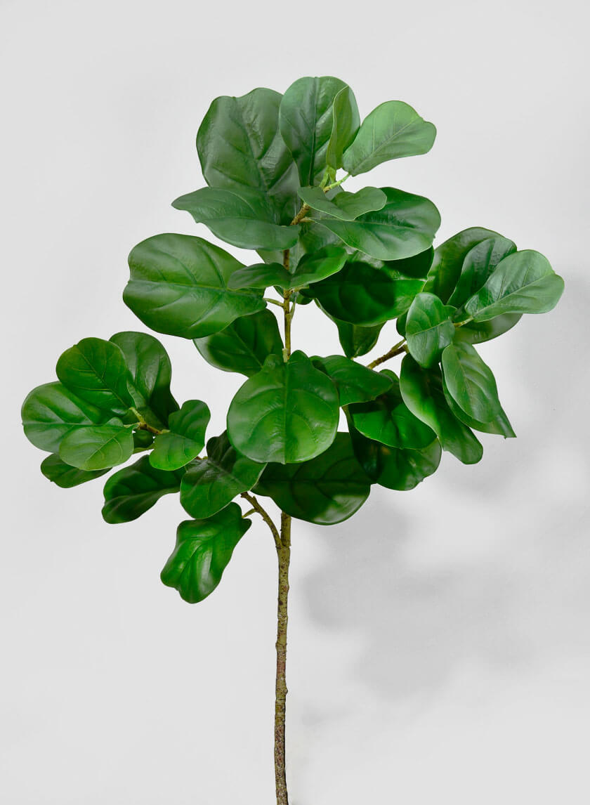 47in Fiddle Leaf Fig Branch Decor Jamaligarden