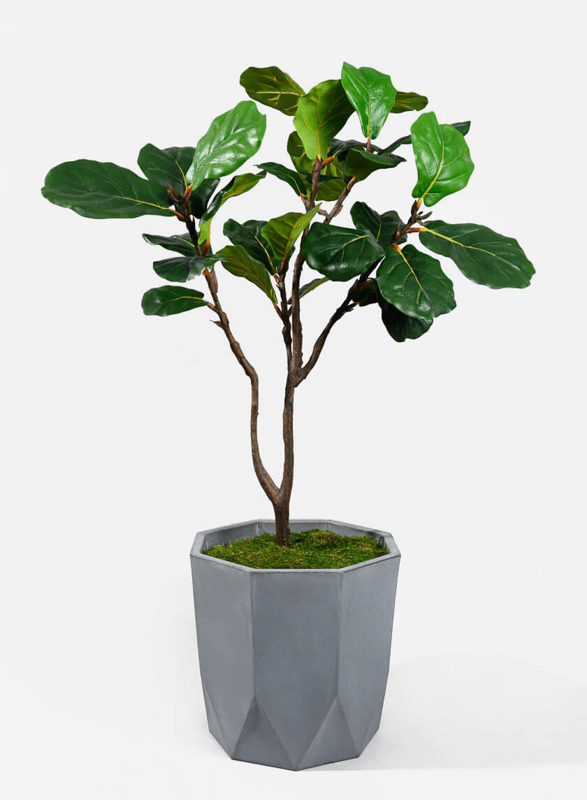 14in Tall Buffed Clay Campo Pot Decor Jamaligarden