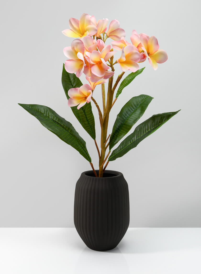 8in Tall Oslo Chocolate Vase Decor Jamaligarden