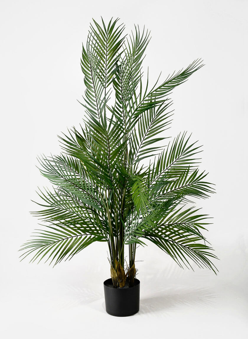 45in Tall Hawaii Kwai Palm Tree Decor Jamaligarden