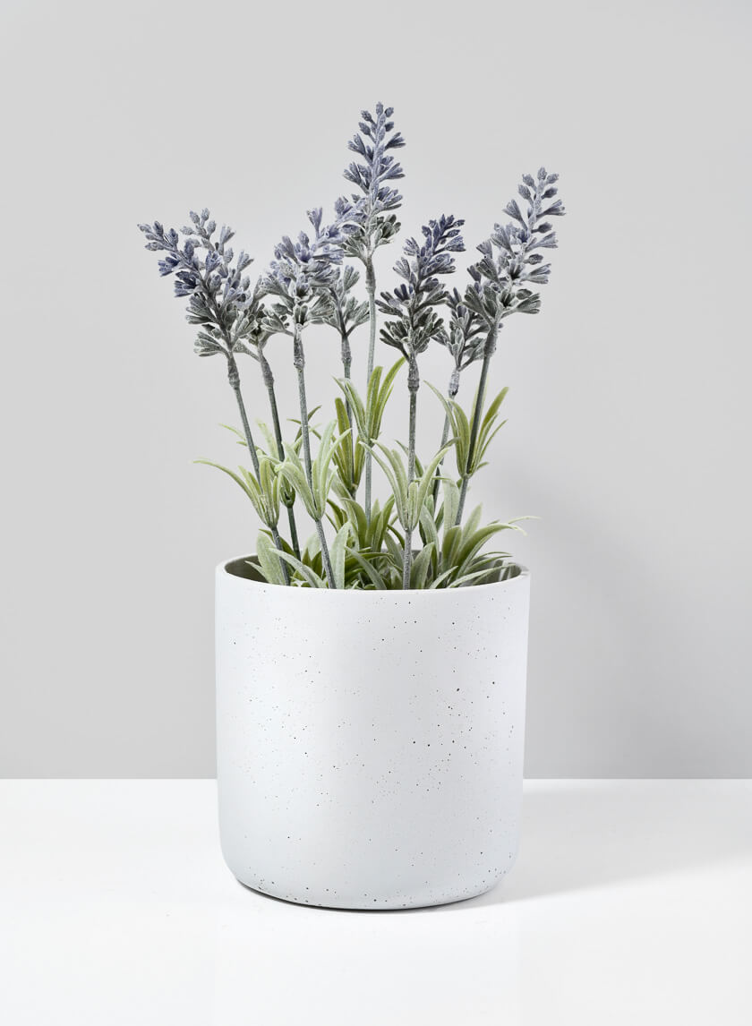 White Cycl Sandstone Pots Decor Jamaligarden White 6in EACH