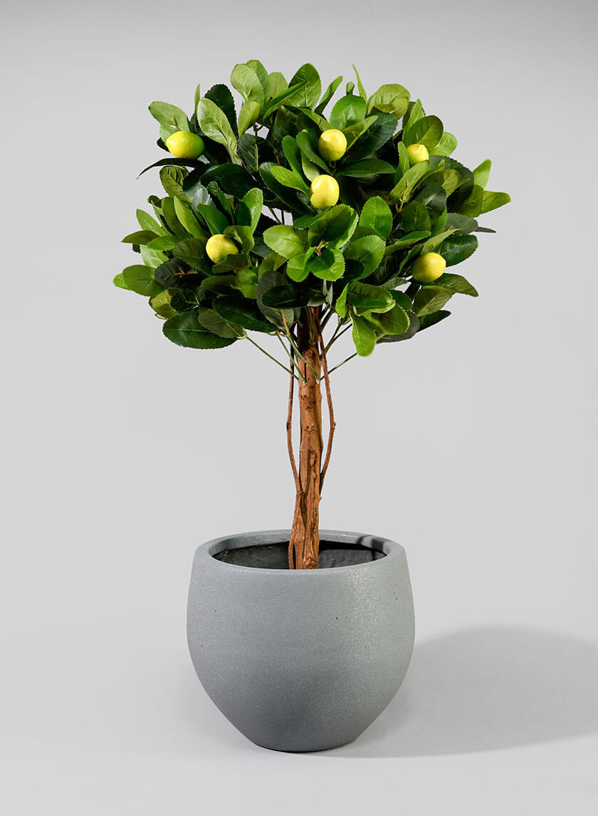 8.5in Tall Skyphos Grey Fiber Stone Pot Decor Jamaligarden
