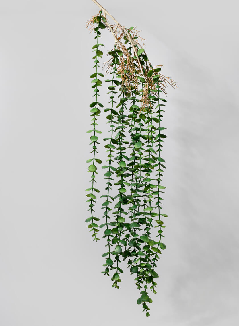 39in Long Mini Eucalyptus Hanging Decor Jamaligarden