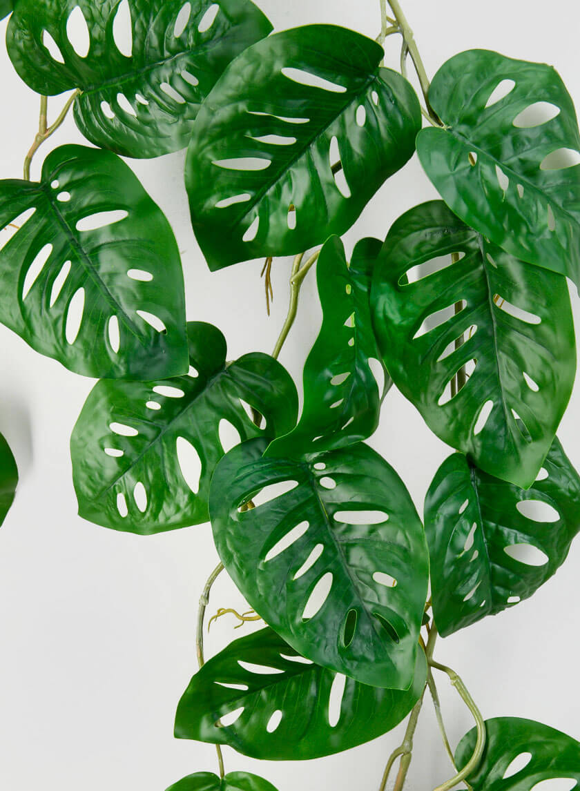 47in Long Swiss Cheese Monstera Leaf Vine Decor Jamaligarden