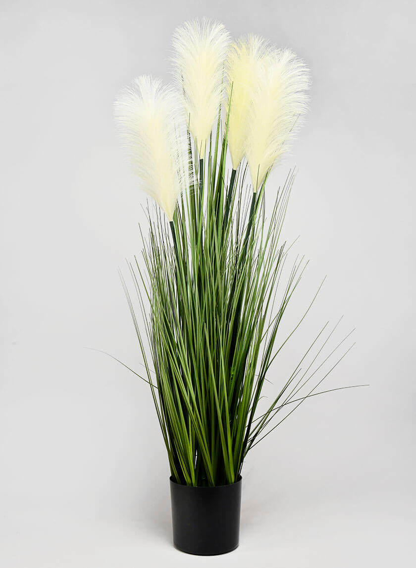 36in Tall Onion Grass Decor Jamaligarden