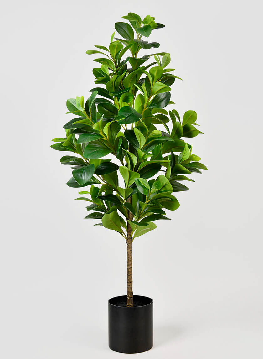 43in Tall Pepper Elder Plant Decor Jamaligarden