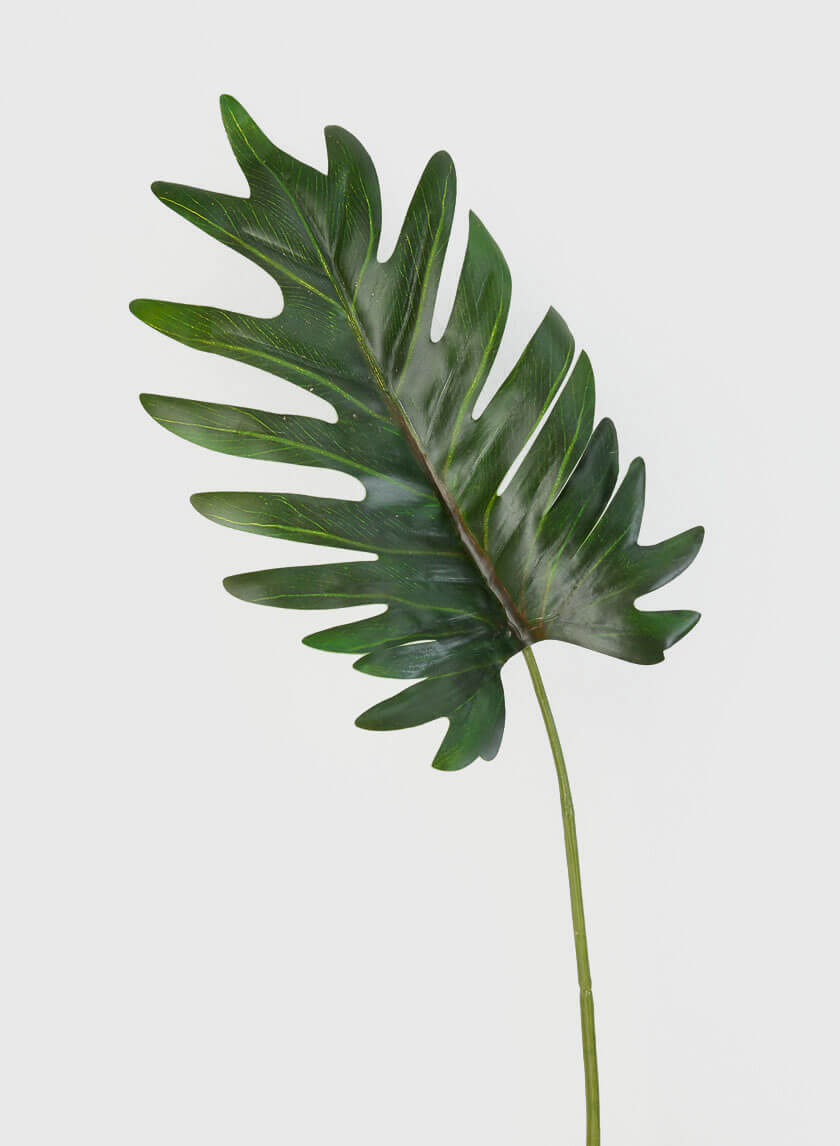 19in Long Philodendron Leaf Decor Jamaligarden