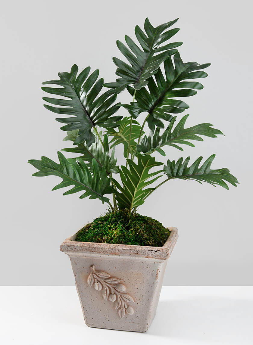 7.75in Tall Square Quadra Olive Pot Decor Jamaligarden