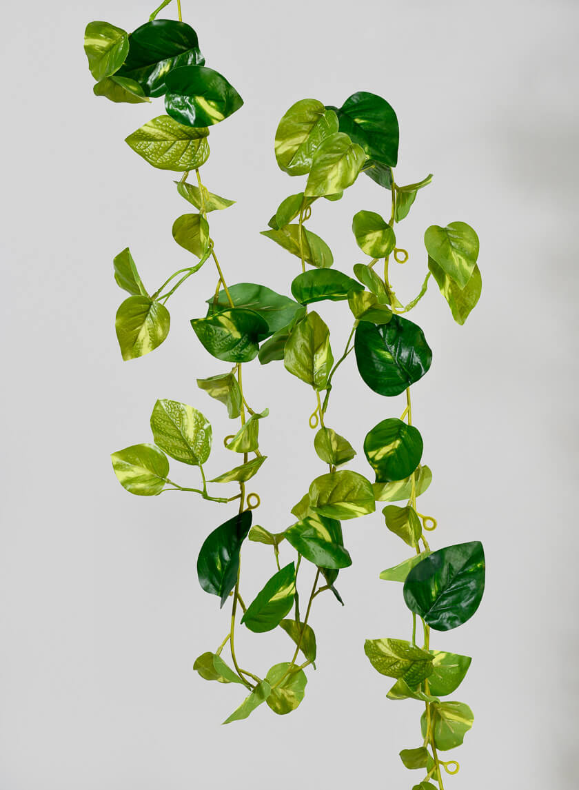 6ft Long Pothos Garland Decor Jamaligarden