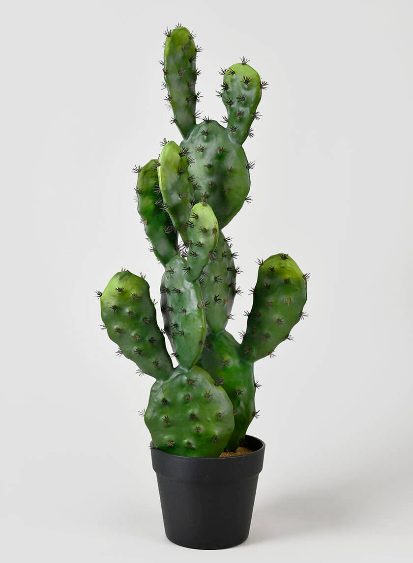 27in Long Prickly Pear Cactus Decor Jamaligarden